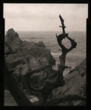 Christopher J. Palmer Dr. Suess Palladium Print 2014 NFS