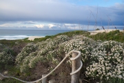 Deborah Silvis Koppie Allen Dunes, S. Africa Digital C-Print 2014 $350