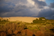 Deborah Silvis Dune Glow, DeHoop Reserve, S. Africa Digital C-Print 2014 $350
