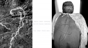 Mariana Bartolomeo Tendrils Gelatin Silver Print 2014 $325