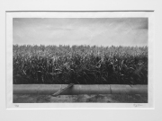 Robert Rice The Beginning from The Field Portfolio (Edition 1/20) Hextone Carbon Pigment Ink on Awagami Unryu Paper 2013 $400