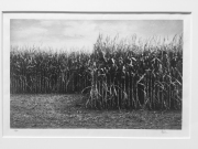 Robert Rice Divide from The Field Portfolio (Edition 1/20) Hextone Carbon Pigment Ink on Awagami Unryu Paper 2013 $400