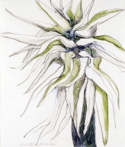 Engel_Charlene_2_better