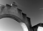 Fallender_Suzanne_4