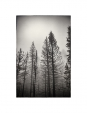Holeman_Art_1