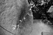 Tarara_Theresa_3