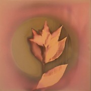 Trennert_Shari_4