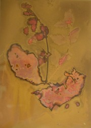 Trennert_Shari_7