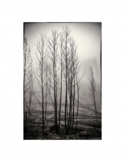 holeman_art_2