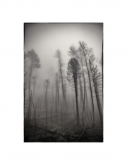 holeman_art_3