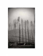 holeman_art_4
