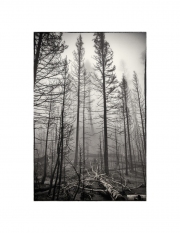 holeman_art_5