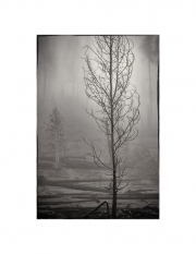 holeman_art_6