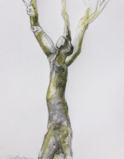 Engel_Charlene_1