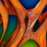Price_Michael_2