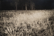 Skaggs_BK_3