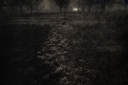 Skaggs_BK_6