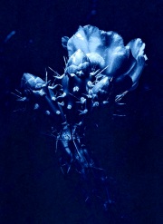 Starobinskiy_Eugene_3