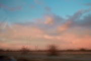 Tarara_Theresa_3