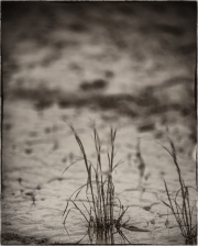 holeman_art_2