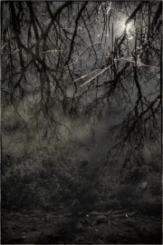 holeman_art_3