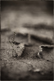 holeman_art_4