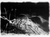 NS18 - Page_Jessica_1 NS18 - Page_Jessica_1