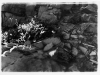 NS18 - Page_Jessica_2 NS18 - Page_Jessica_2