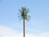 Cell Tower Cell Tower