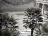 Timpany_Mark_2