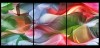 Cox_Ronald_2_