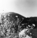 Fallender_Suzanne_3_
