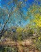 Lin_Wen-Hang_2_