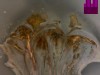 Miiller_Nancy_2_
