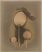 Penrod_Emily_2_