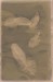 Penrod_Emily_3_