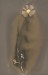 Penrod_Emily_5_