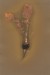 Penrod_Emily_8_
