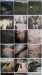 Skaggs_BK_1_