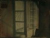 trennert_shari_5_ trennert_shari_5_