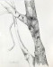NS-2021-Engel_Charlene_1 NS-2021-Engel_Charlene_1