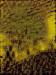 NS-2021-Miller_Neil_6 NS-2021-Miller_Neil_6