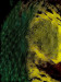 NS-2021-Miller_Neil_7 NS-2021-Miller_Neil_7