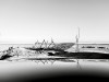 NS-2021-Sims_Emily_2 NS-2021-Sims_Emily_2
