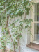 NS-2021-Woodruff_Lon_2 NS-2021-Woodruff_Lon_2