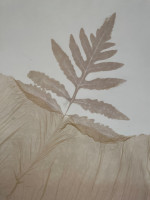 Fallender_Suzanne_1