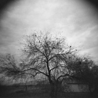 Galloway_Bob_1