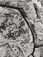 Kondrashov_Fedor_1