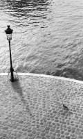 Luccarelli_Luigi_4