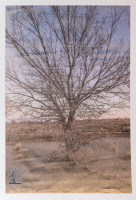 Terasaki_Dean_3